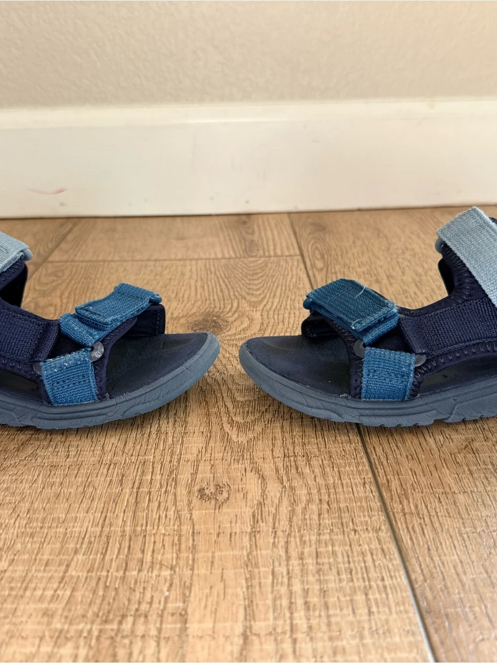 Cat & Jack size 13